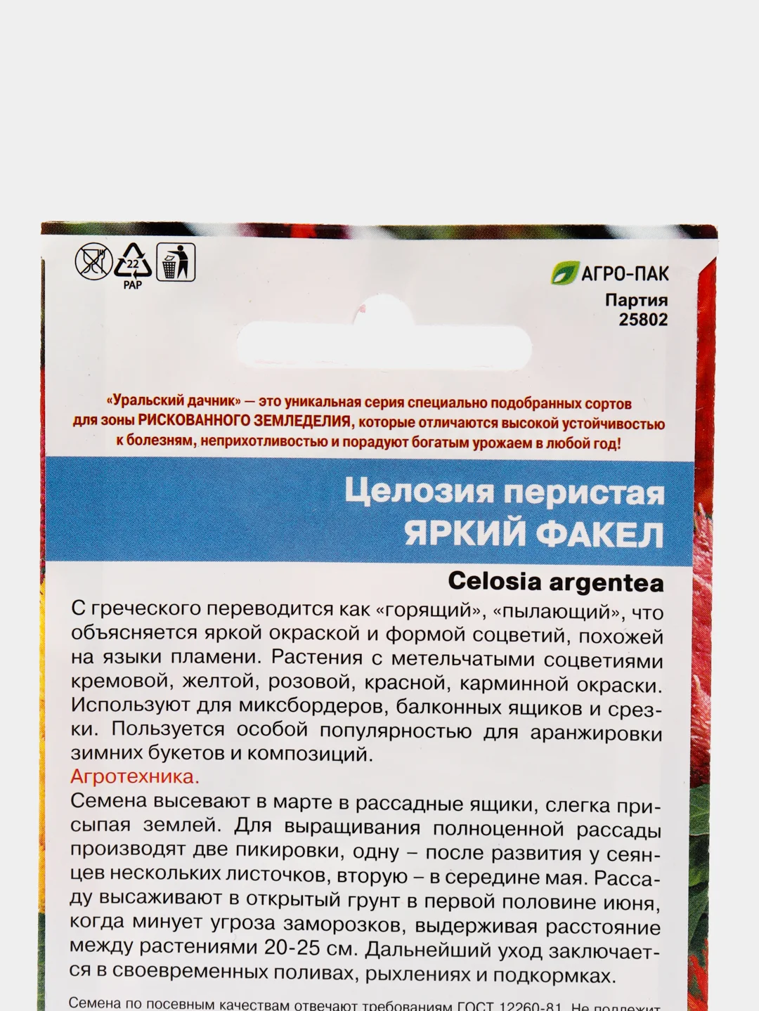 Целозия перистая Яркий факел (семена,цветы)