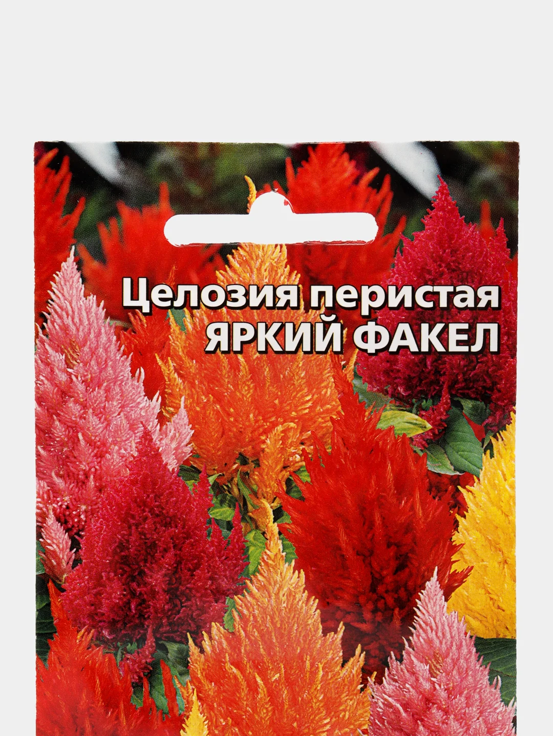 Целозия перистая Яркий факел (семена,цветы)