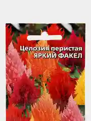 Целозия перистая Яркий факел (семена,цветы)