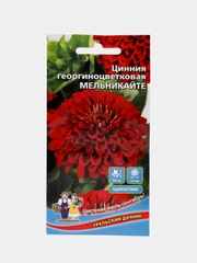 Цинния георгиноцветковая Мельникайте (семена,цветы)