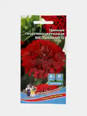 Цинния георгиноцветковая Мельникайте (семена,цветы)