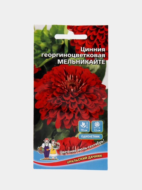Цинния георгиноцветковая Мельникайте (семена,цветы)