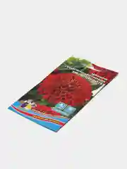 Цинния георгиноцветковая Мельникайте (семена,цветы)