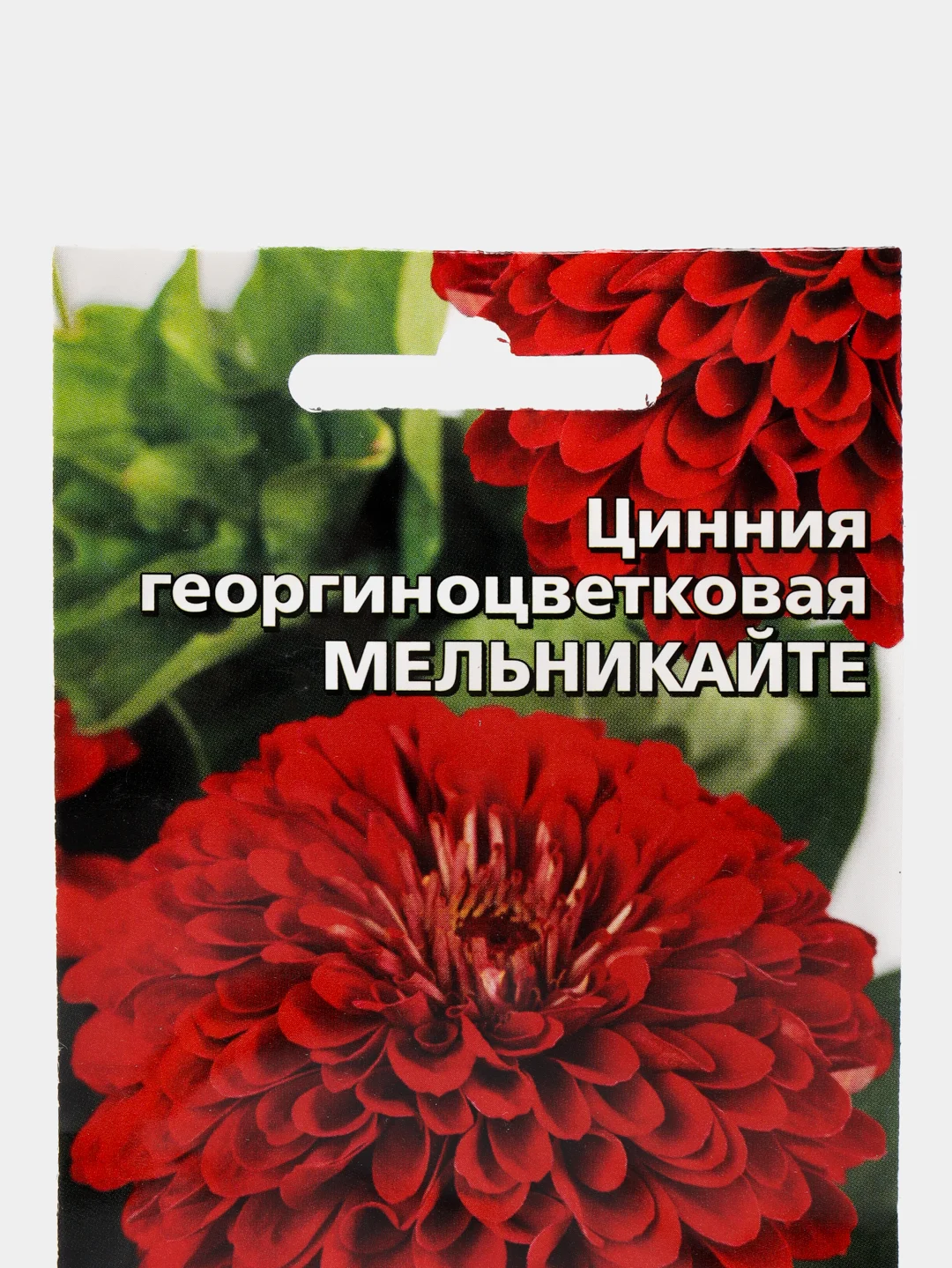 Цинния георгиноцветковая Мельникайте (семена,цветы)