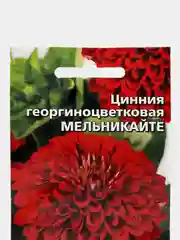 Цинния георгиноцветковая Мельникайте (семена,цветы)