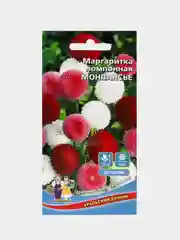 Маргаритка помпонная "Монпасье" семена, цветы