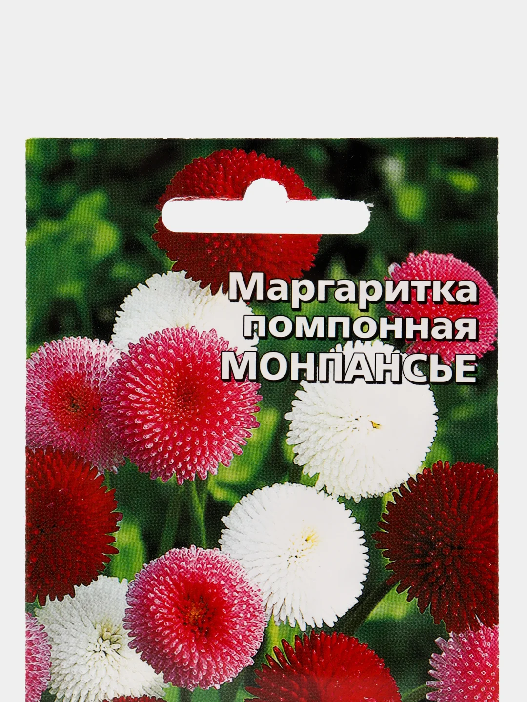 Маргаритка помпонная "Монпасье" семена, цветы