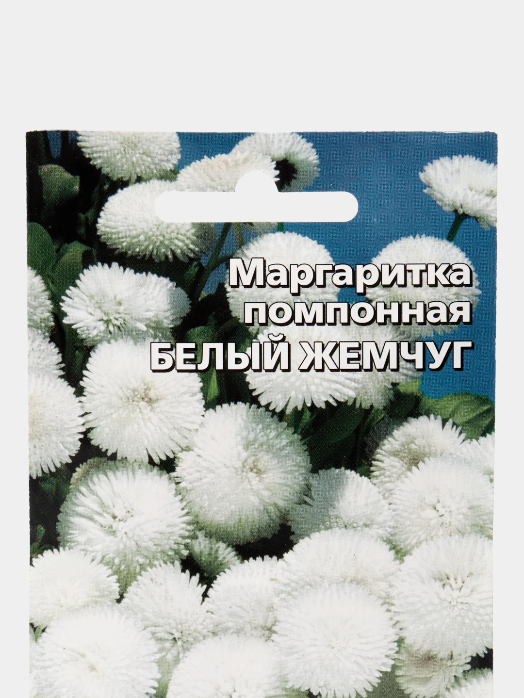 Маргаритка помпонная Белый Жемчуг (семена, цветы)