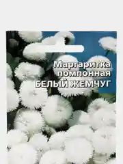 Маргаритка помпонная Белый Жемчуг (семена, цветы)