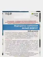 Маргаритка помпонная Белый Жемчуг (семена, цветы)