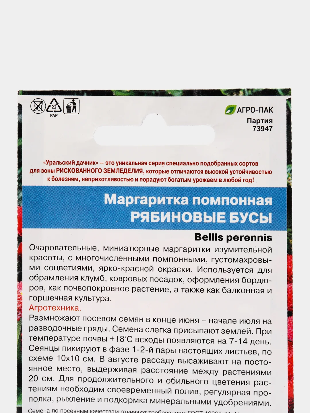 Маргаритка помпонная Рябиновые бусы (семена, цветы)