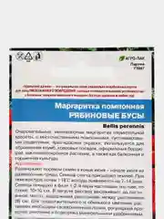 Маргаритка помпонная Рябиновые бусы (семена, цветы)