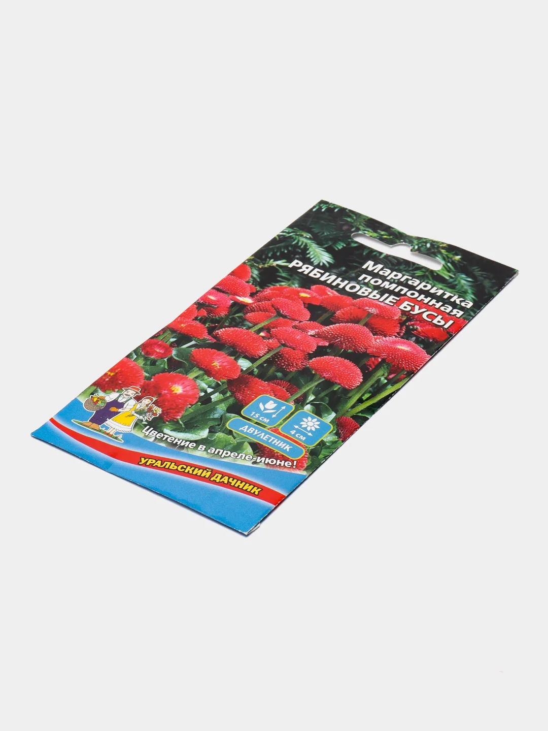 Маргаритка помпонная Рябиновые бусы (семена, цветы)