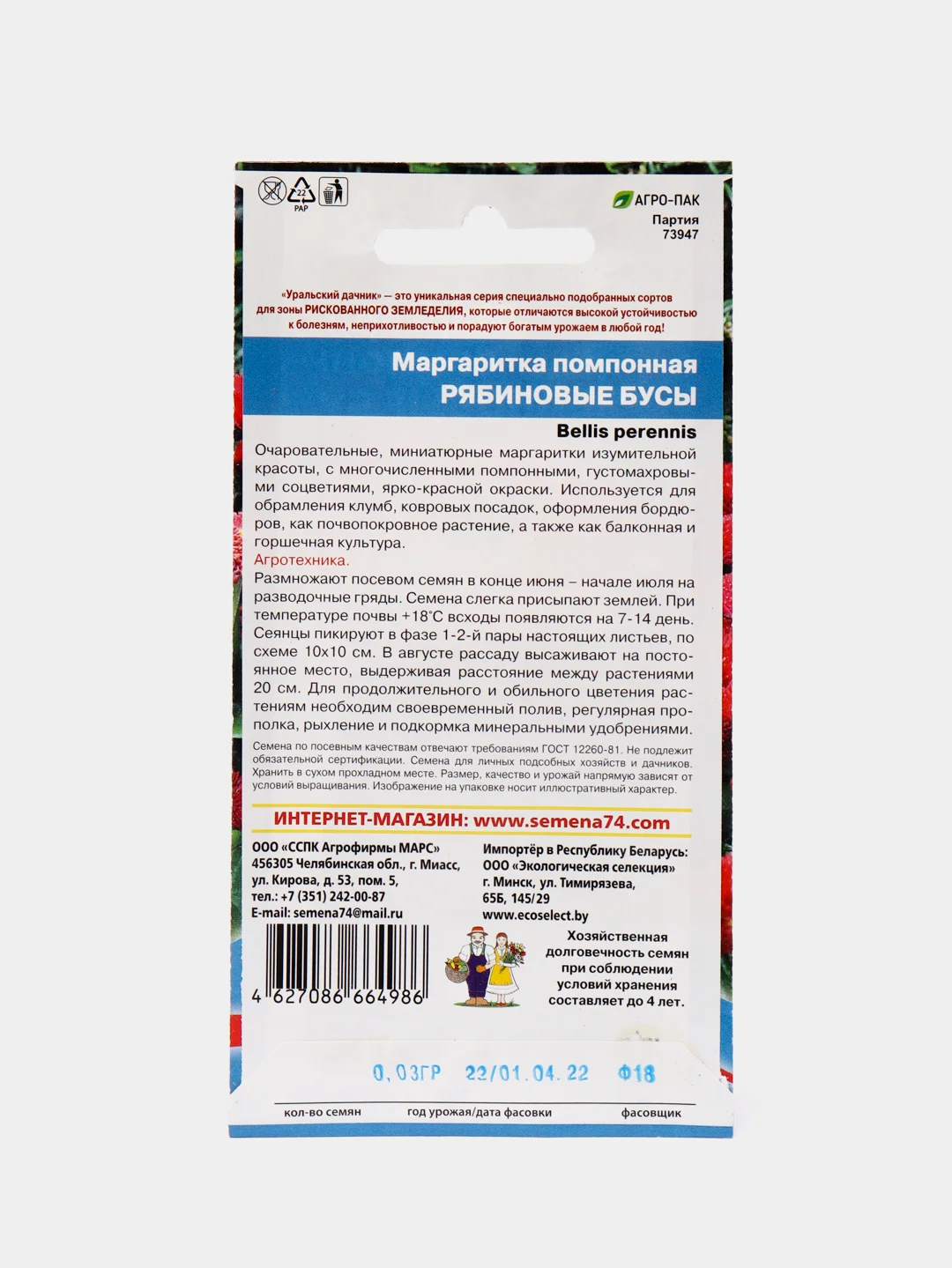 Маргаритка помпонная Рябиновые бусы (семена, цветы)