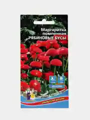 Маргаритка помпонная Рябиновые бусы (семена, цветы)