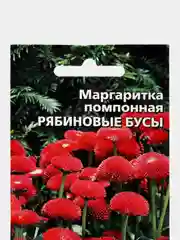 Маргаритка помпонная Рябиновые бусы (семена, цветы)