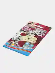 Флокс друммонда Сесилия (семена,цветы)