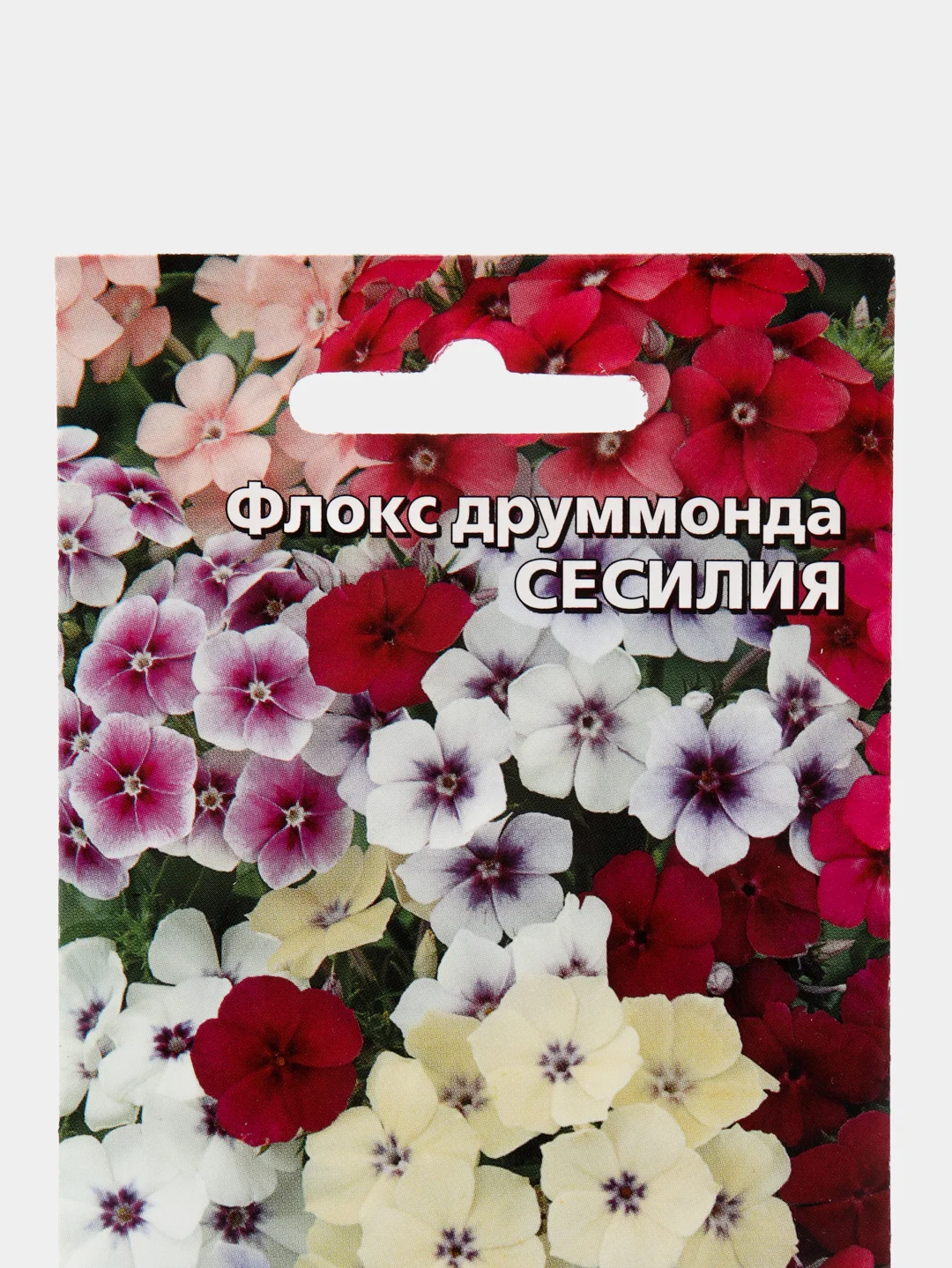 Флокс друммонда Сесилия (семена,цветы)