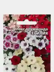 Флокс друммонда Сесилия (семена,цветы)
