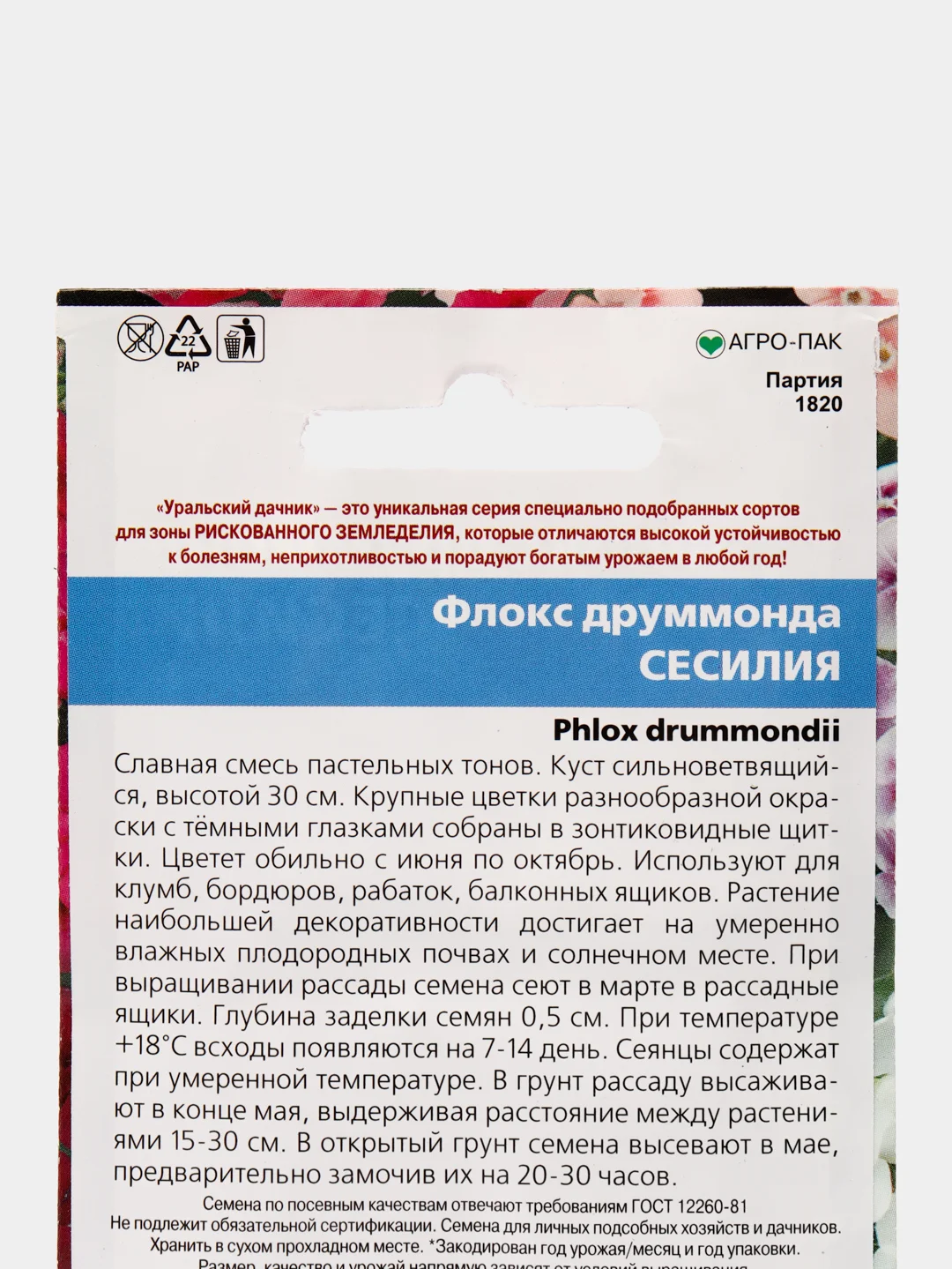 Флокс друммонда Сесилия (семена,цветы)