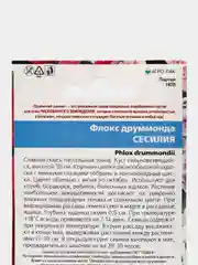 Флокс друммонда Сесилия (семена,цветы)