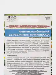 Нивяник Серебряная Принцесса (семена, цветы)