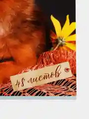 Лимонный альбом для рисования, 48 листов