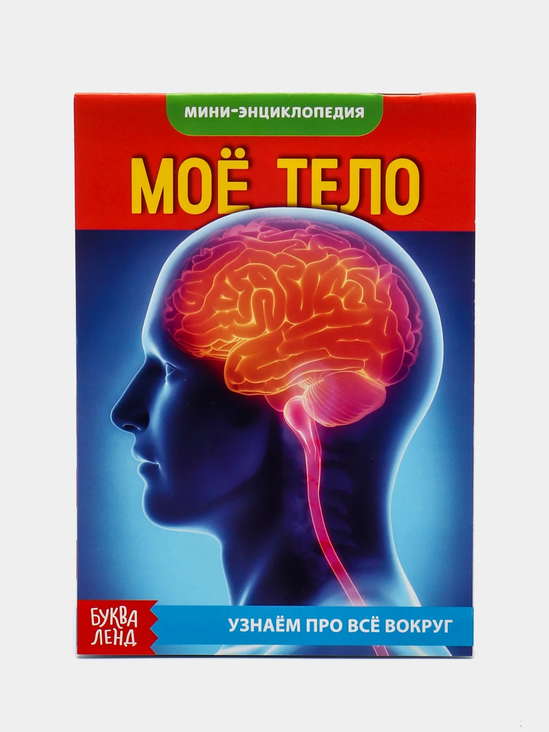 Ледяной книга для детей Мини - энциклопедии