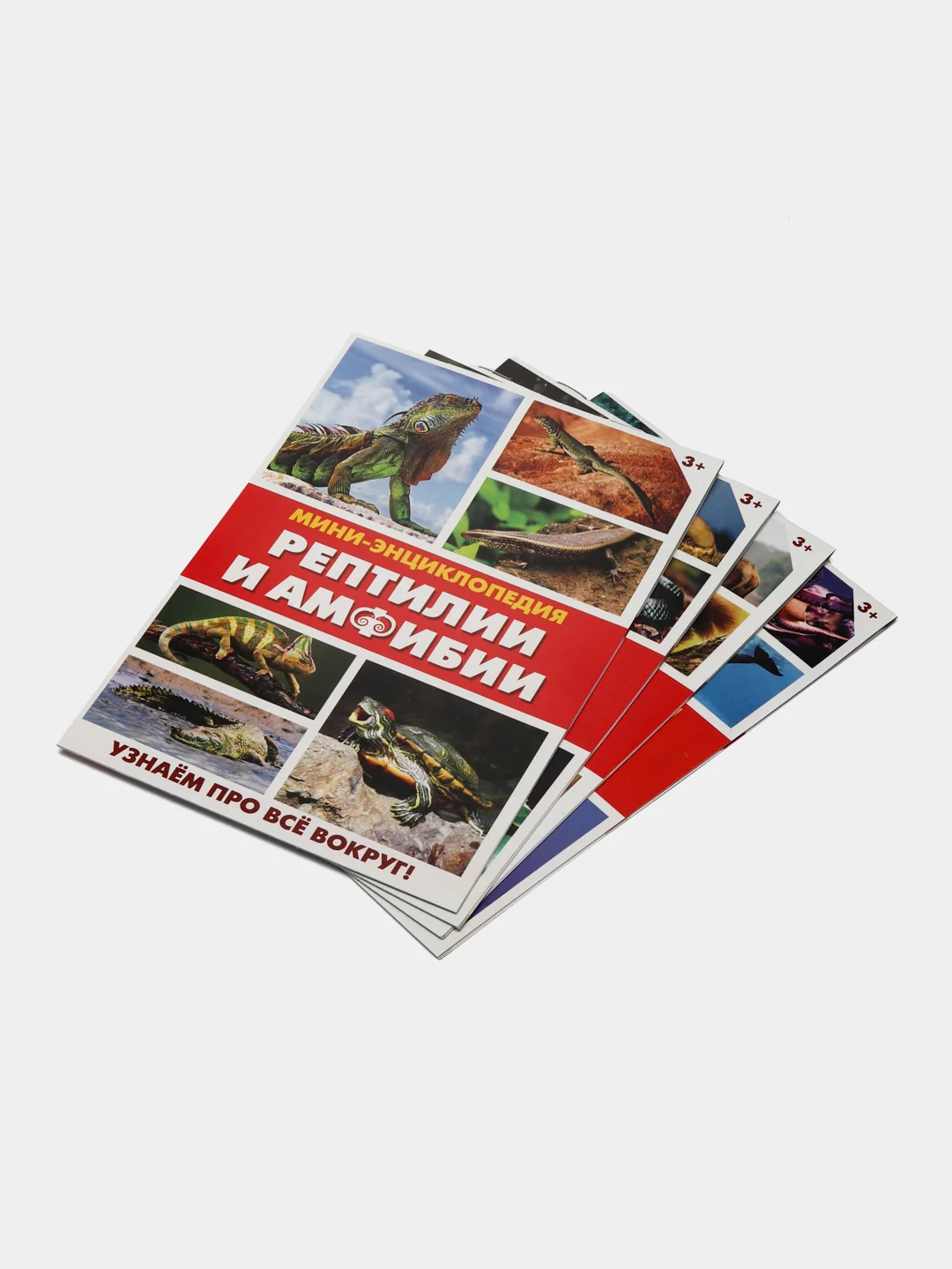 Коричневый книга для детей Мини - энциклопедии
