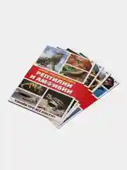 Коричневый книга для детей Мини - энциклопедии