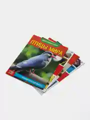 Кремовый книга для детей Мини - энциклопедии