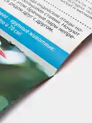 Кремовый книга для детей Мини - энциклопедии