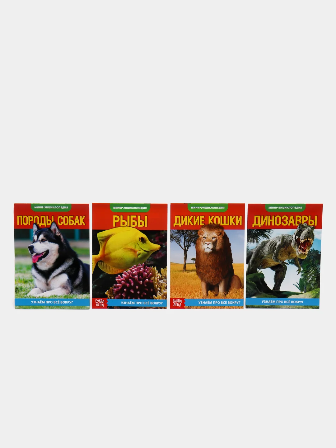 Лайм книга для детей Мини - энциклопедии