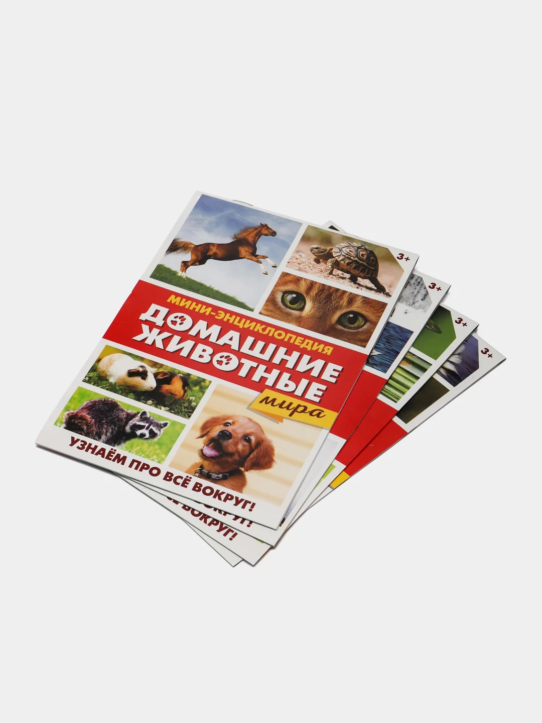 Конфетный книга для детей Мини - энциклопедии
