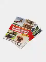 Конфетный книга для детей Мини - энциклопедии