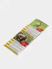 Конфетный книга для детей Мини - энциклопедии