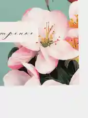 Бирюзовый почтовая карточка, женская, 10 х 15 см ,15 видов