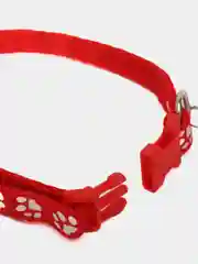 Красный ошейник для кошек. Ошейник для маленьких собак