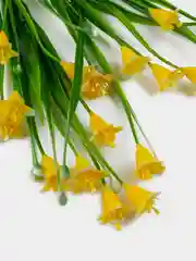 Желтый искусственные цветы. Колокольчики (пластиковый букет). Композиция