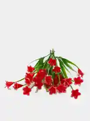 Красный искусственные цветы. Колокольчики (пластиковый букет). Композиция