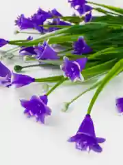 Фиолетовый искусственные цветы. Колокольчики (пластиковый букет). Композиция