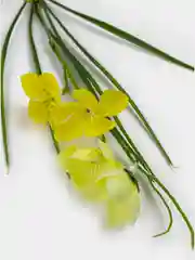 Желтый искусственные цветы. Подснежники (двухцветный букет). Композиция