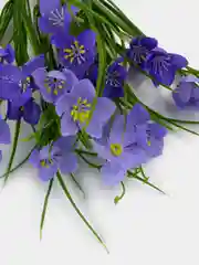 Желтый искусственные цветы. Подснежники (двухцветный букет). Композиция