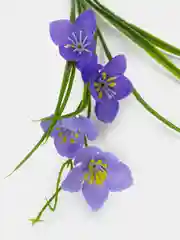 Желтый искусственные цветы. Подснежники (двухцветный букет). Композиция