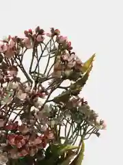 Тёмно-бордовый искусственные цветы "Гортензия", для декора