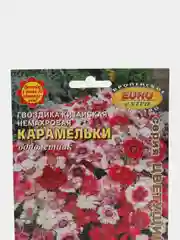 Семена цветов Гвоздика "Карамельки китайская"