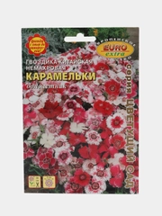Семена цветов Гвоздика "Карамельки китайская"