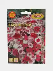 Семена цветов Гвоздика "Карамельки китайская"