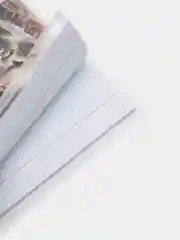 Тетрадь в клетку по аниме "Атака титанов"