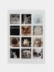 Белый наклейки "Котики и мемы", 12-36 штук